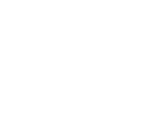 Evolution games at Jungle Raja Casino