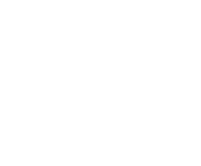 NetEnt games at Jungle Raja Casino